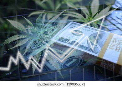 Cannabis Penny Stocks Breaking Out In Bull Market 