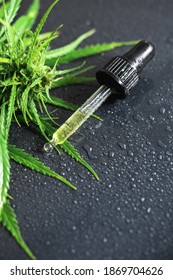 Cannabis plant and pipette with a CBD oil on wet metal surface