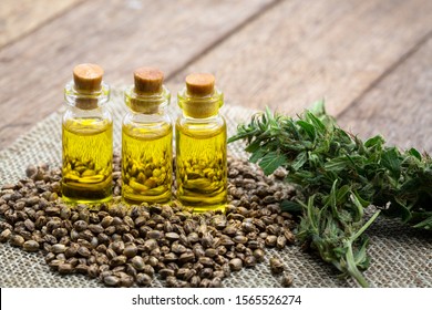 Cannabis Seeds And CBD Oil Cannabis Extract, Green Hemp Leaf Background, Medical Cannabis Concept.