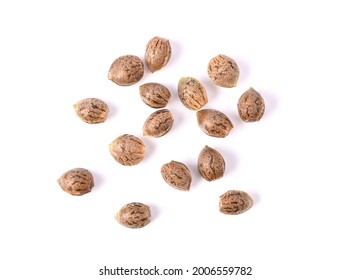 Cannabis seeds, Marijuana seeds isolated on white background. Top view