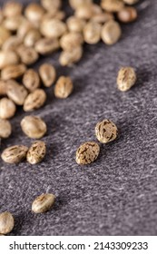 Cannabis Seeds Of Medical Hemp Plant On Dark Stone Board. These Seeds Are Used To Made CBD Or Food Oil For Example