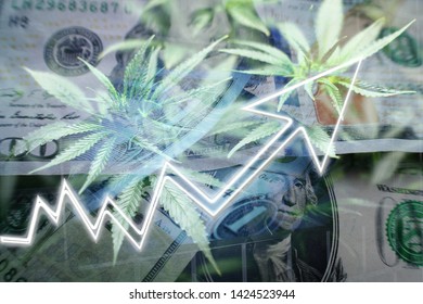 Cannabis Stocks Exploding High Quality 