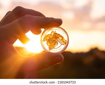cannabis wax extract in container on sunset background, marijuana dab smoking mood.
