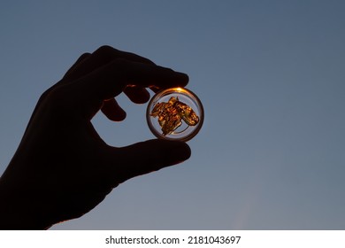 Cannabis Wax With High Thc In Hand On Sky Background.