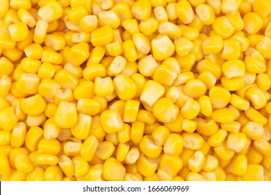 Canned Corn Background, Preserved Seeds Of Sweetcorn Close Up