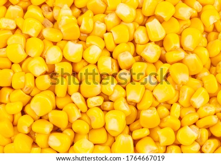 Canned sweet corn pattern or background