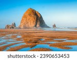 Cannon Beach reflections at low tide