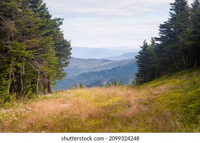 Cannon Mountain Ski Slope Summer In The White Mountains Of New Hampshire