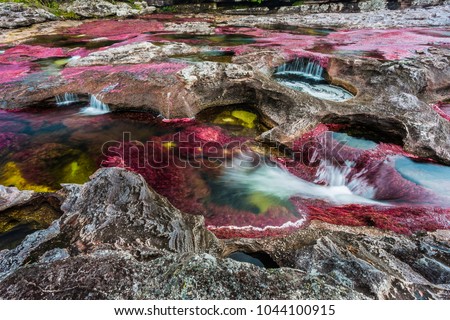 Cano Cristales, five colors river, rainbow river, Macarena, Colombia. Is known the most beatufil river in the world.