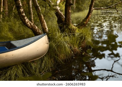 A canoe at a forest lake. - Powered by Shutterstock - Get 15% off with code: PIKWIZARD15