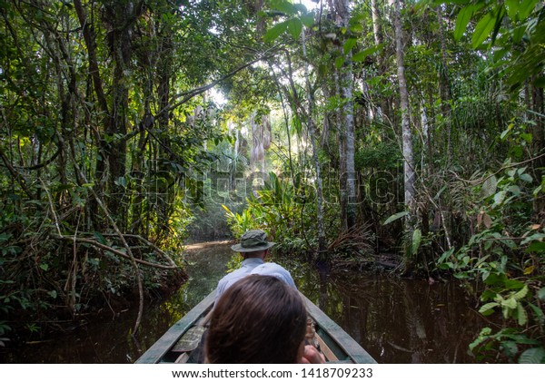 Canoe Into Amazon Jungle Channel Leading Stock Photo Edit Now