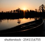 A Canoe in Okefenokee swamp