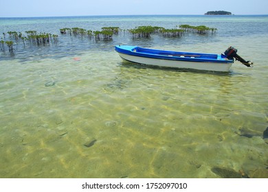 a Canoe on the clear water beach with a background of Manggrove trees in Kepulauan Seribu Indonesia