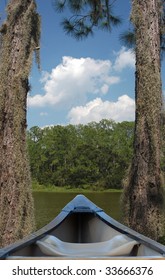 Canoe Stuck Between Trees