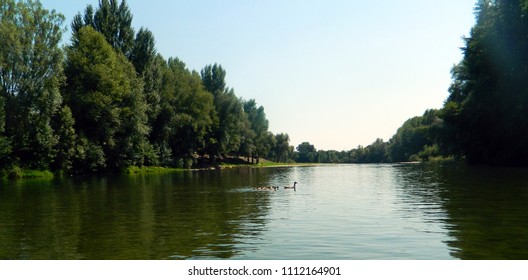 Canoe Trip In The Gorges Of Hérault With A Duck Family