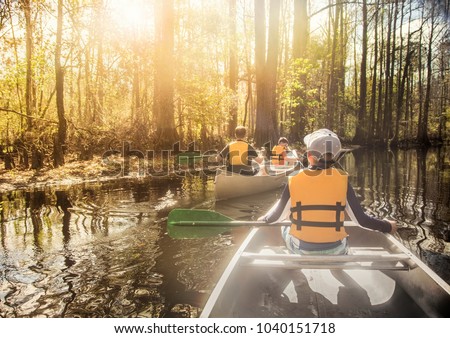 Canoeing down beautiful river in a Cypress Forest