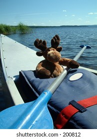 Canoeing moose.