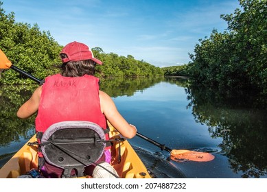 Canoeing through the Everglades swamp in Florida, USA