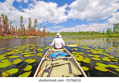 Canoer On Cross Bay Lake In The Boundary Waters