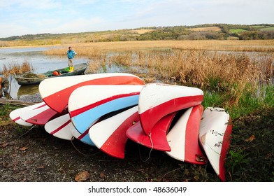 canoes