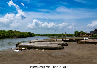 Canoes at mangrove swamp of Cartagena de Indias, Colombia