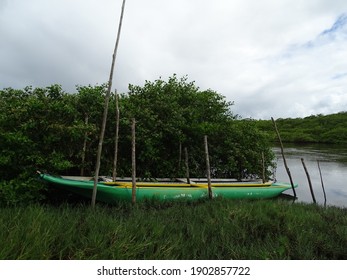 Canoes Stuck On Wooden Poles On The Banks Of The Jaguaripe River