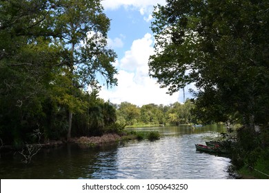 19 Wekiwa springs state park Images, Stock Photos & Vectors | Shutterstock