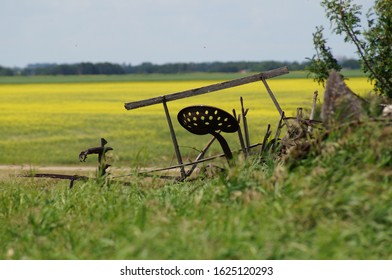 Canola In Bloom On The Outskirts Of Saskatoon Along With Some Abandoned Farm Equipment. 