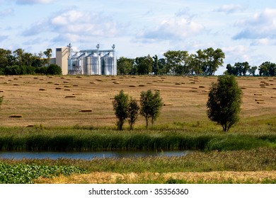 Canola Factory Near Cultivated Field