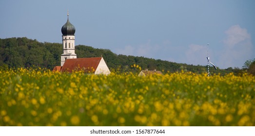 Canola field and church, Pahl, Paehl, Bavaria, Germany Arkivfotografi
