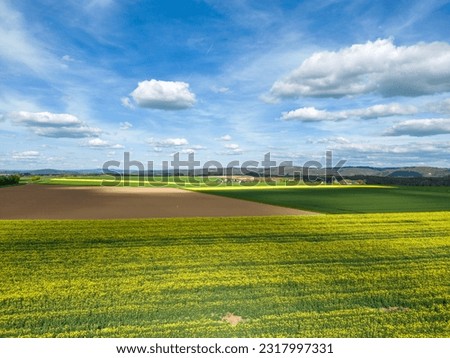 Canola fields drone view in Germany