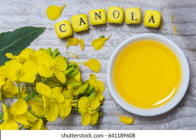 Canola With Oil Concept On Gray Wood.