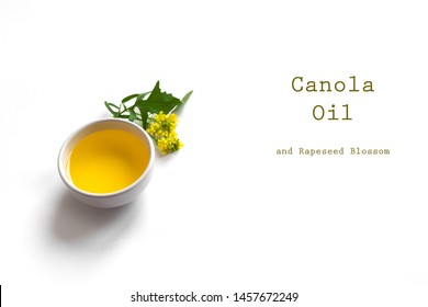 Canola (Rapeseed) Oil in bowl and Canola blossom close up. Organic canola oil on white, copy space.