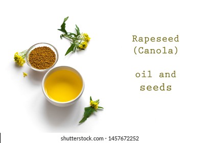 Canola (Rapeseed) Oil And Seeds In Bowl And Canola Blossom Close Up. Organic Canola Oil Isolated On White, Copy Space.