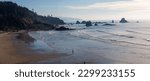 Canon Beach, Oregon, USA - November 28, 2022:  Views of the Oregon costline, Haystack Rock and other vistas from Ecola State Park.