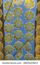 A canopy of translucent umbrellas featuring a vibrant yellow petal pattern creates a rhythmic display against a clear blue sky. Sunlight illuminates the fabric, casting soft shadows.