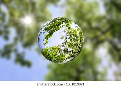 Canopy Of Trees Inside A Glass Ball With The Sun Shining Through The Green Foliage. Creative Crystal Ball Effect In 3D. Go Green, Pro Nature Concept With Copy Space.