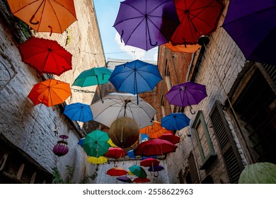 A canopy of vibrant, colorful umbrellas hangs overhead, creating a striking and playful atmosphere along the walkway. The bright hues add a cheerful touch, casting lively shadows on the path below. - Powered by Shutterstock