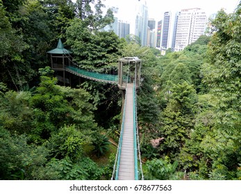 Canopy walk