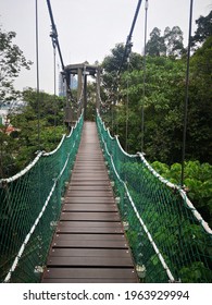 Canopy Walk Forest Eco-park Bukit Nanas Kuala Lumpur