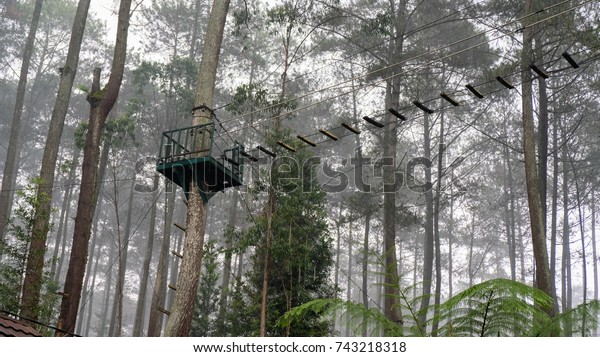 Canopy Walk Pune Forest Grafika Cikole Stock Photo Edit Now 743218318