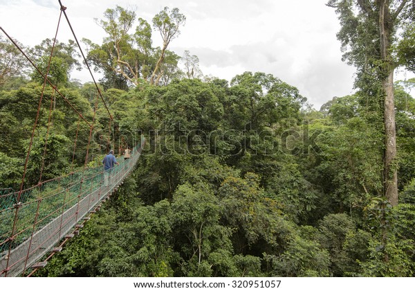 Canopy\
walkway or hanging wood bridge in primary virgin jungle, Danum\
Valley Conservation Area, Lahad Datu,\
Malaysia.
