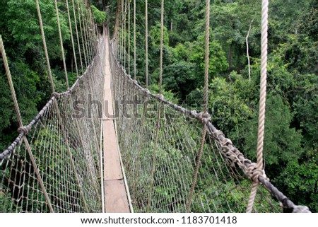 Canopy Walkway Rope Bridge at the Kakum National Park near Cape Coast, Ghana