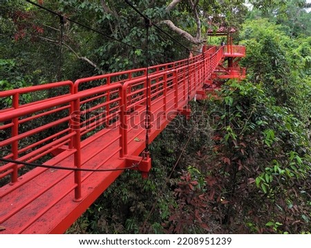The Canopy Walkway is walking trail into a lowland jungle at Thung Khai Botanic Garden in Yan Ta Khao District, Trang, Thailand