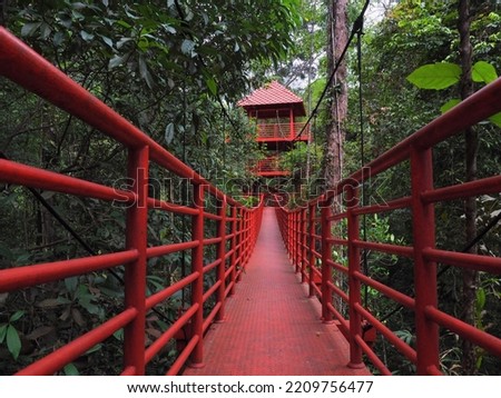 The Canopy Walkway is walking trail into a lowland jungle at Thung Khai Botanic Garden in Yan Ta Khao District, Trang, Thailand