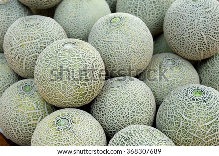 Cantaloupe melon
