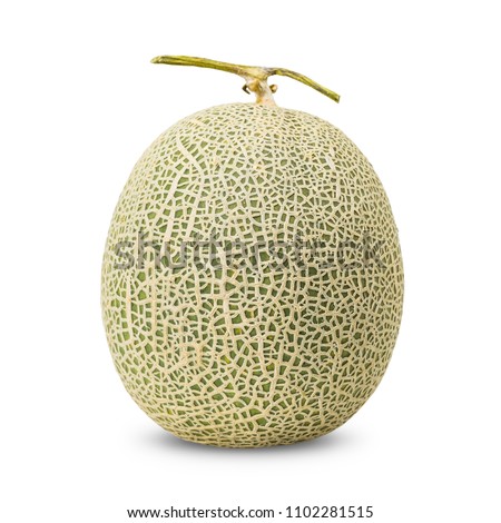 Cantaloupe melon in full fruit showing its net rind pattern, isolated on white background with clipping path