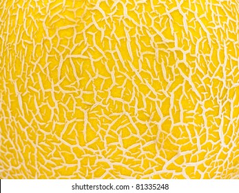 Cantaloupe Melon Texture Macro