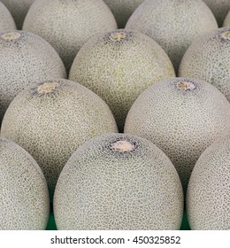 Cantaloupe Tropical Fruit Plant For Your Healthy