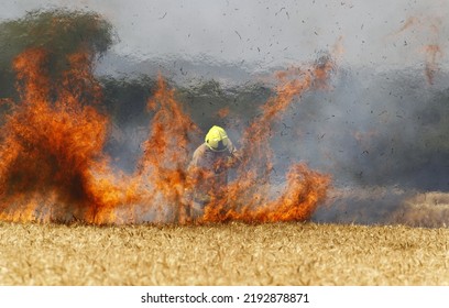 Canterbury, Kent, UK, 22nd August 2022, Wild Fire, Field Of Crops On Fire With Fire Fighter Trying To Extinguish The Flames


.